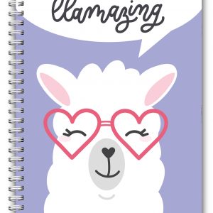 A5 Diabetic Log Book Diary – Llama
