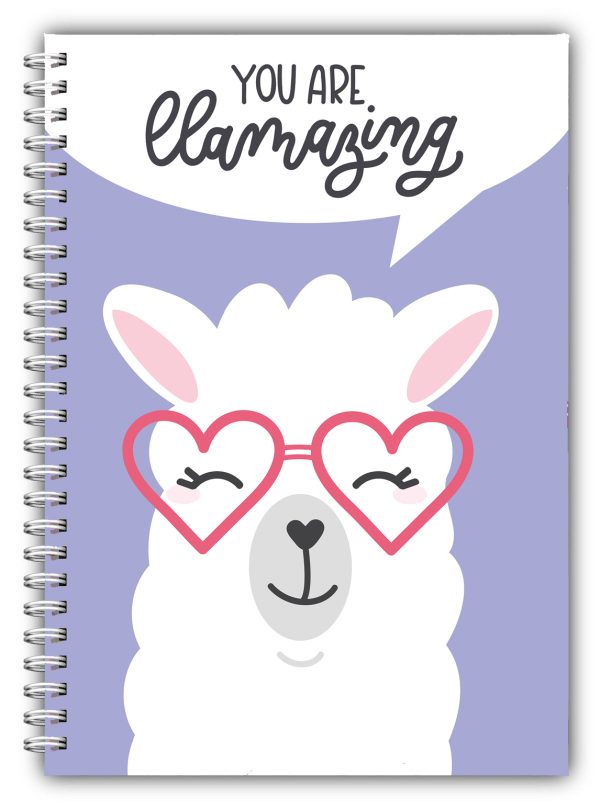 A5 Diabetic Llama Log Book Diary