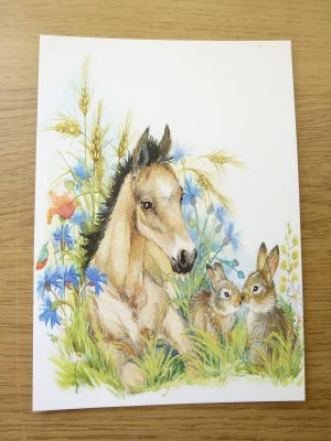 A6 Craft Cards – Foal With Rabbits