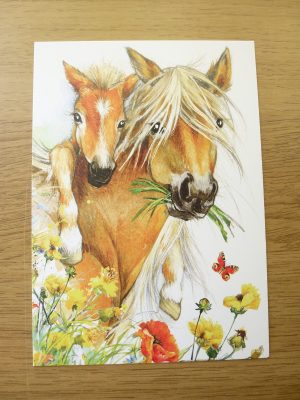 A6 Craft Cards -Ponies Eating Grass